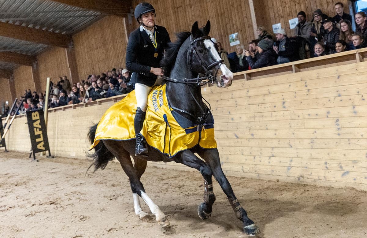 Ingemar Hammarström och Seed kammade hem ett guld. Foto: Roland Thunholm