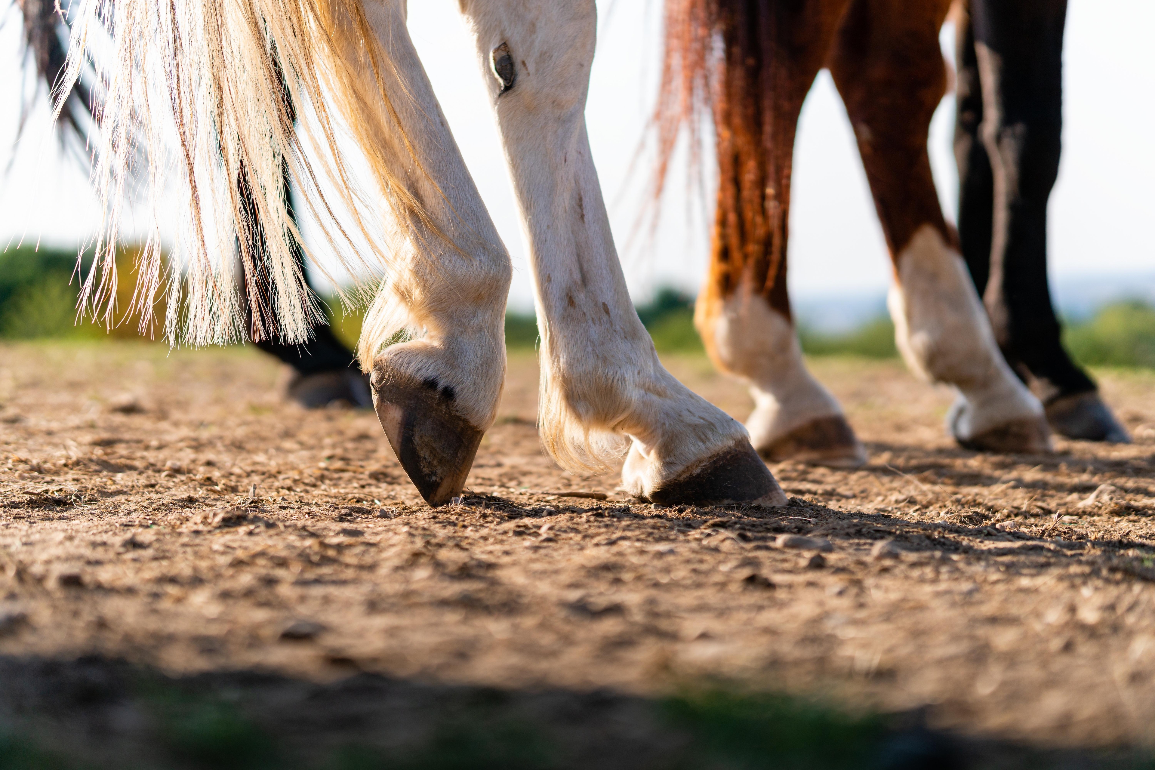 Genrebild. Foto: Adobe stock