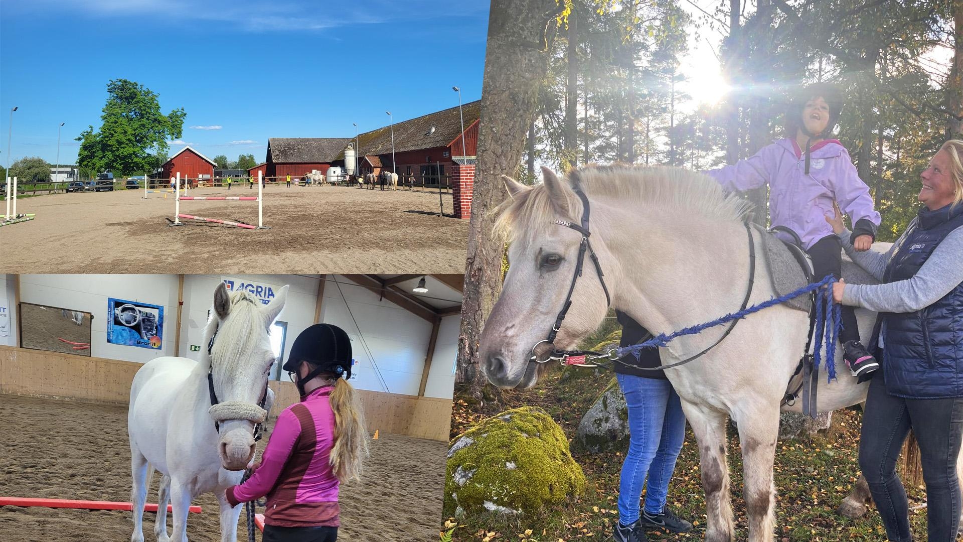 Mölltorps ridsällskap ska satsa på ett stall tillgängligt för alla. Foto: Privat