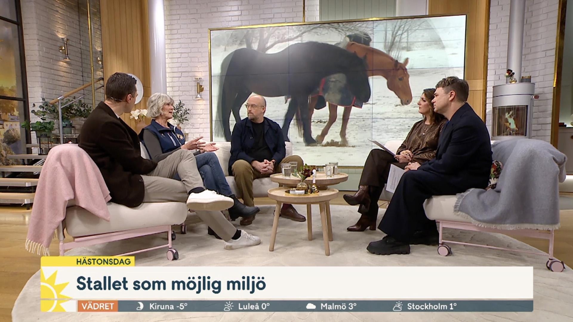 Foto: Skärmavbild från TV4