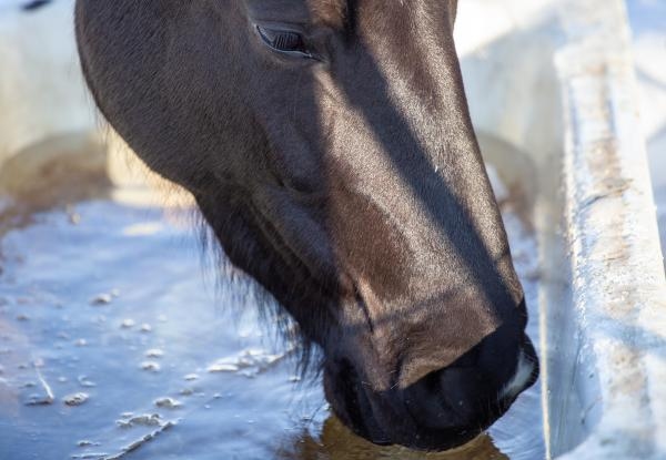 Genrebild. Foto: Adobe stock