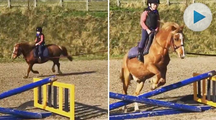 Den brittiska hoppryttaren Ellen Whitakers son Harry visar både talang och intresse för att följa mamma och stora delar av övriga släkten i fotspåren.