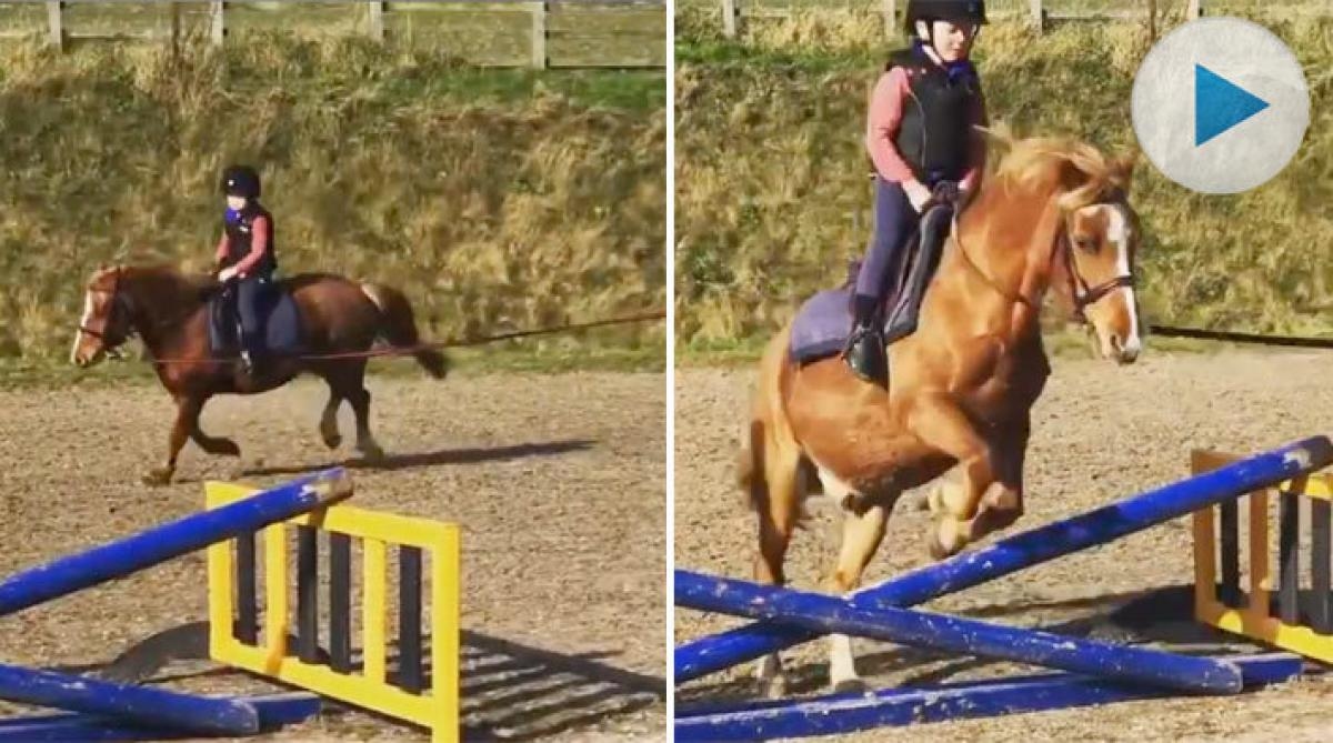 Den brittiska hoppryttaren Ellen Whitakers son Harry visar både talang och intresse för att följa mamma och stora delar av övriga släkten i fotspåren.