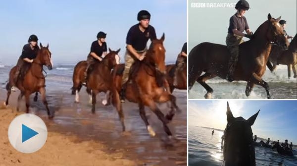 I detta klipp får över 100 hästar från den brittiska armén en paus från arbetet i London, för att åka till havet och njuta av en galopp längs strandkanten.