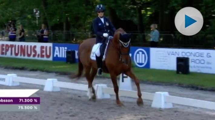 <p>Torsdag tog Louise Etzner Jakobsson paradressyrbrons på EM i Rotterdam. Se den fina ritten här, i ett klipp från SVT Sport.