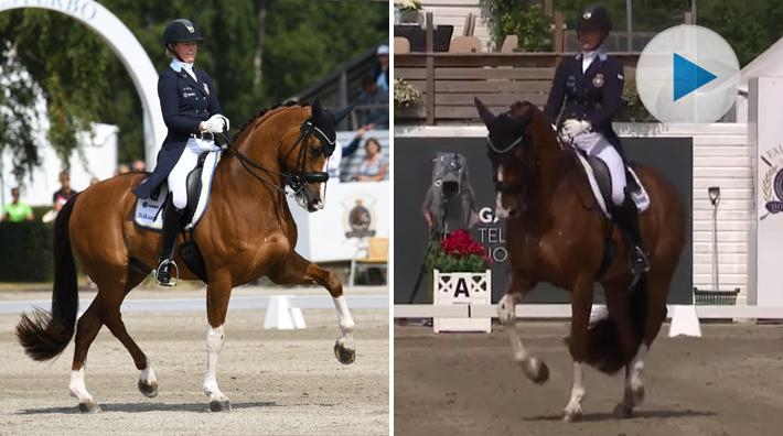 <p>Under Nations Cup i Falsterbo dansade Malin Wahlkamp Nilsson med Eddieni hem en individuell tredjeplats i küren, till tonerna av Billy Idol.