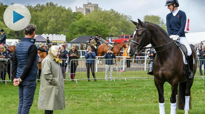 <p>I helgen pågår tävlingar i brittiska Windsor. På torsdagen blev det ett mycket speciellt möte, när Valegro visade drottning Elizabeth II lite härlig passage.