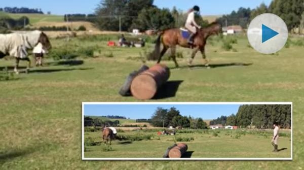 <p>Över en miljon visningar har Chrisannas klipp fått på Facebook. Hon rider sin unghäst hemma i Dunedin på Nya Zeeland, men snabbt tar det stopp.