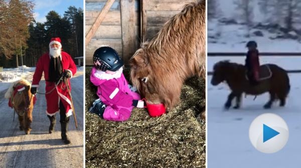 Meija Juberg är tre och ett halvt år gammal och bor i Vimmerby. Hennes högsta önskan var att få en ponny i julklapp. Och drömmen gick i uppfyllelse.