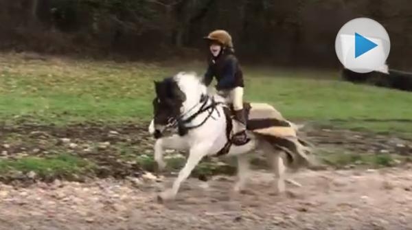 <p>Unga Kizzy Lewis och hennes ponny Cinder tar sociala medier med storm. Hon rider ut, och gärna i ett högt tempo med ett stort leende på läpparna.