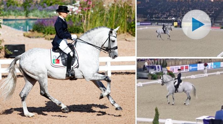 I samband med världscupens avslutande Grand Prix Kür i Mechelen red Maria Caetano sitt livs ritt på lusitanohingsten Coroado.