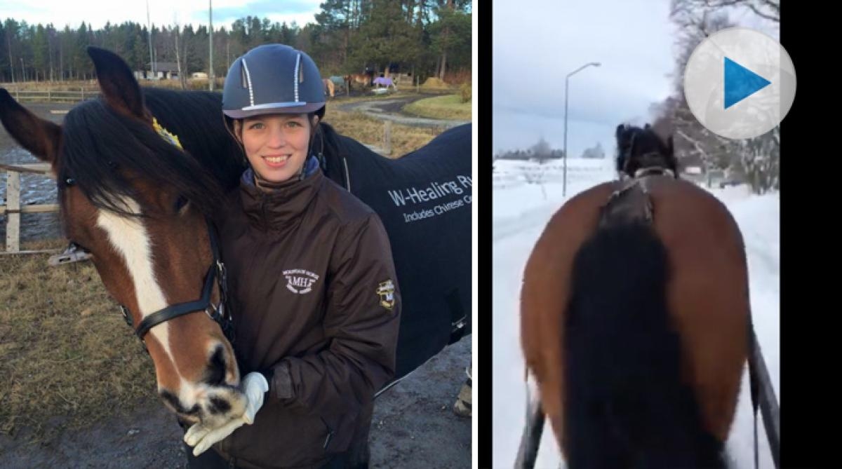 Maria och Frodo sprider bjällerklang i byn: ”Ställer upp på alla äventyr”