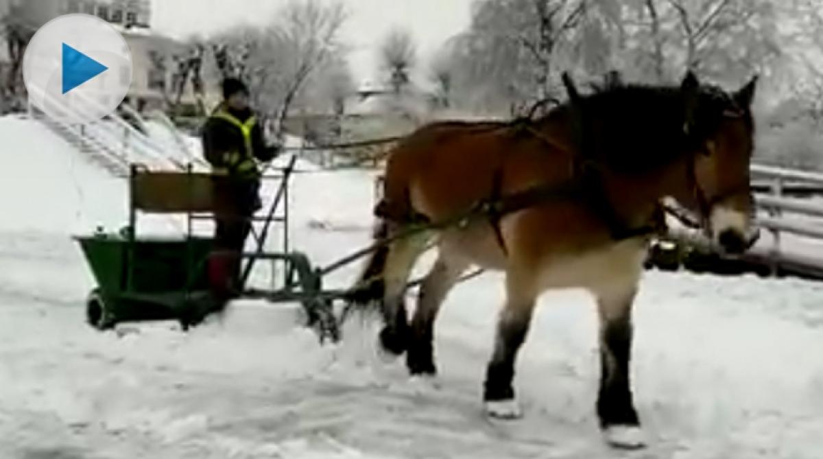 Valder älskar sitt jobb som snöröjare: ”Han bara drar och drar”