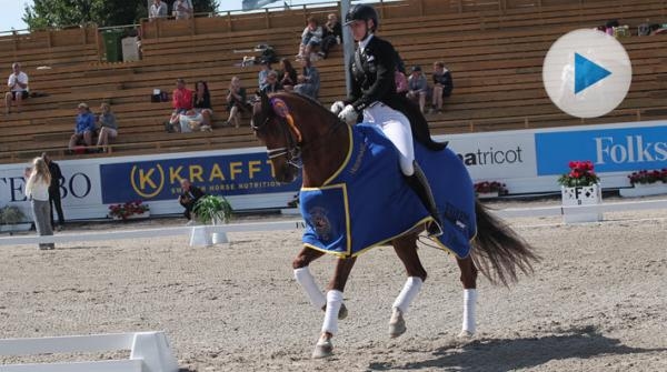 Gladstone Zee T vann sjuårsfinalen med Marina Mattsson i sadeln