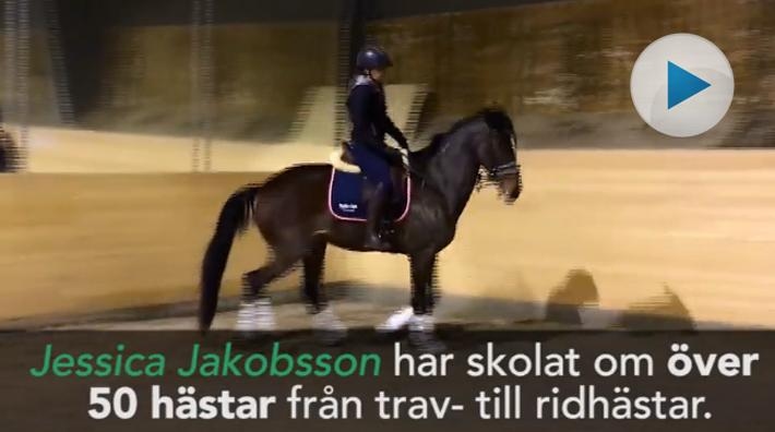 Utbilda ridtravare med Jessica Jakobsson – så lär du dem att fatta galopp