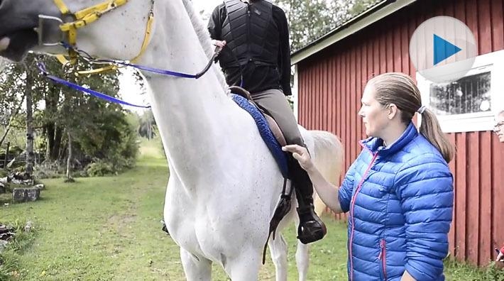 Anneli Ohlén: "Tjusningen är att spendera så mycket tid med hästen"