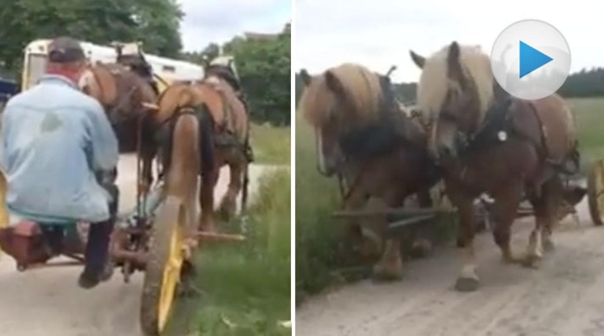 Filip och Fia gör fint inför midsommar