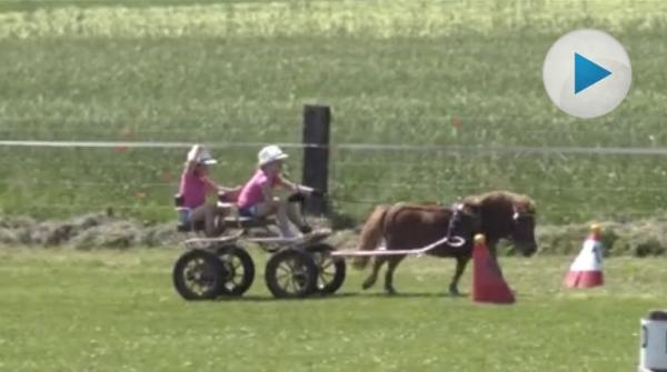 Ponnyekipaget ger allt på banan