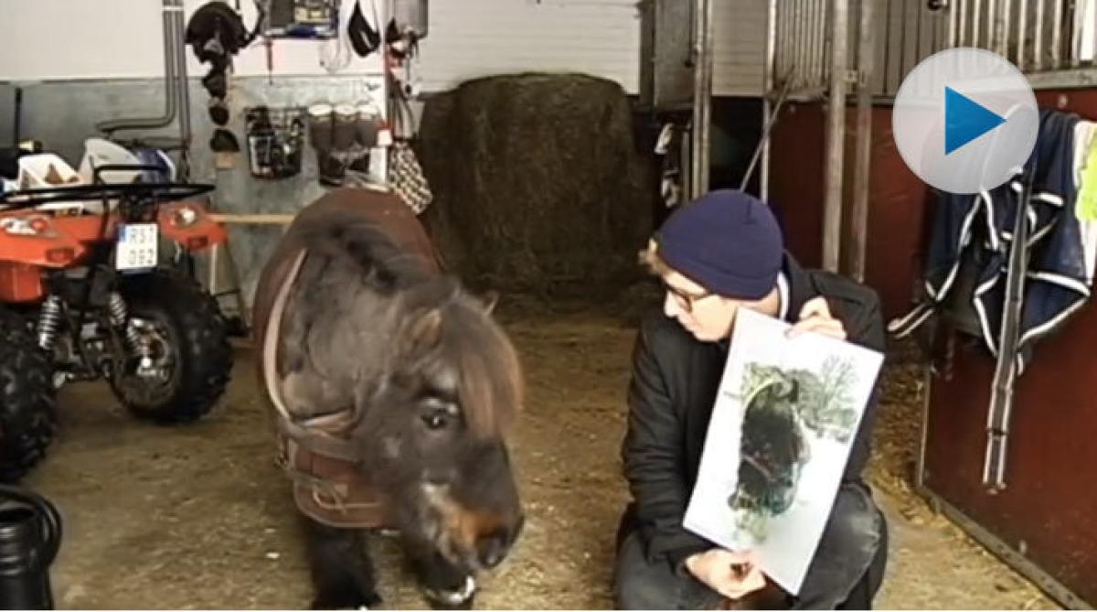 Kärlek på distans för Hamo och Poppy