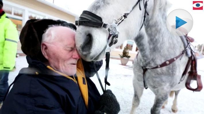 Nils, 86, lever upp när hästarna kommer