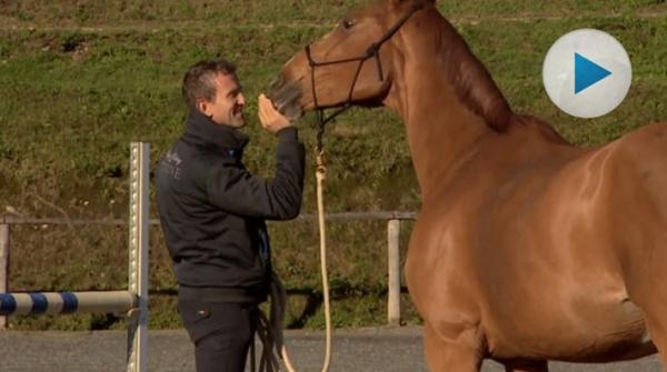 Morötter bakom hoppryttaren Monetas framgångar