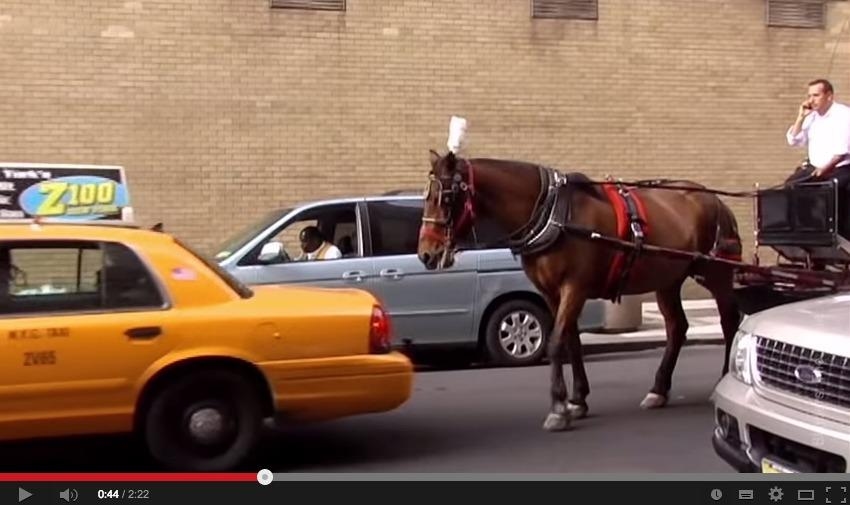 Kampanj mot häst och vagn i New York