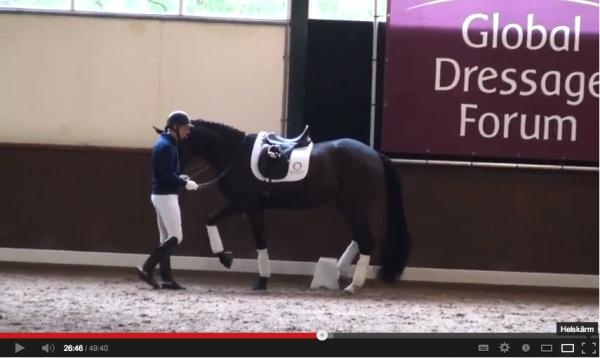 Patrik Kittel pratar på Global Dressage Forum