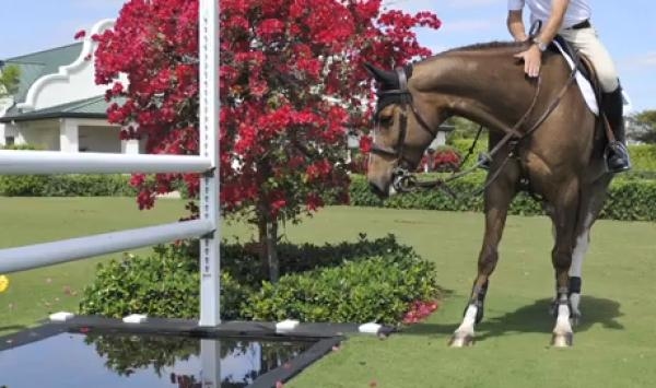 Träningstips från Eric Lamaze