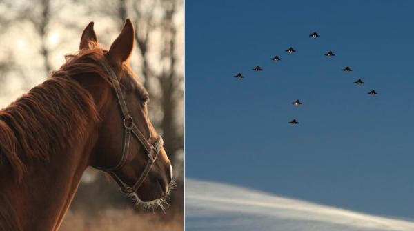 Arkivfoto: Adobe Stock och Louise Levin/Försvarsmakten