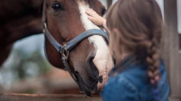 Bilden har ingenting med händelsen att göra. Arkivfoto: Adobe Stock