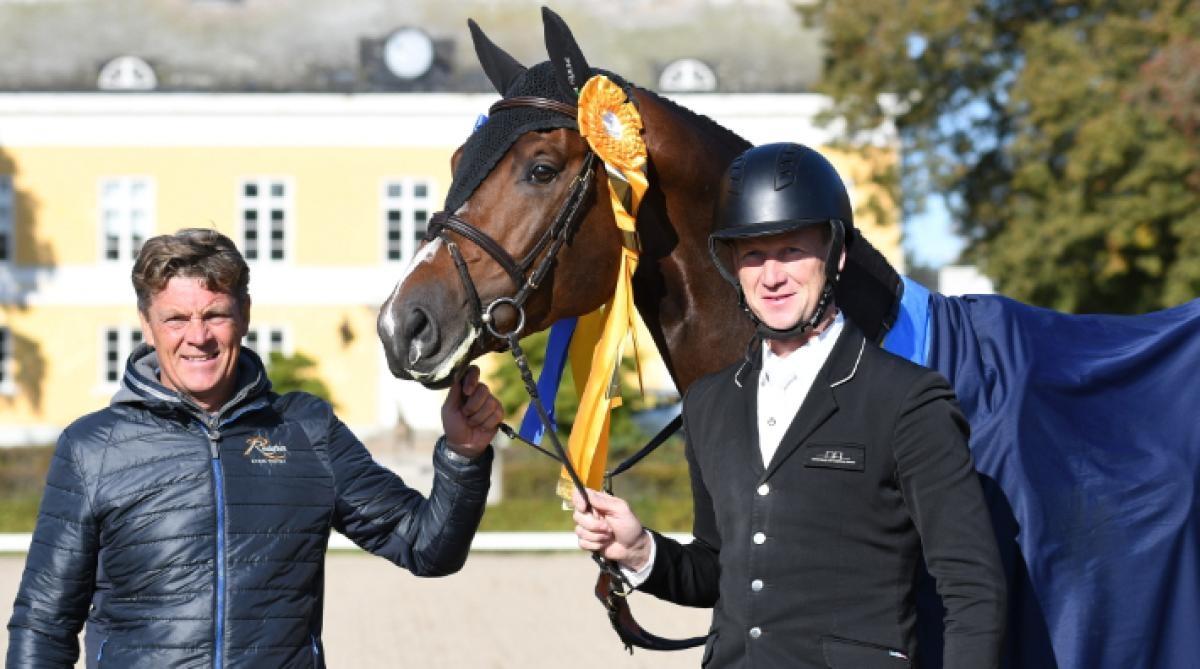 Jereon Dubbeldam testred Baloé HP, som vann Breeders Trophy för femåriga hopphästar i år. Till höger ryttaren Arnold Assarsson. Foto: Linnea Lindahl