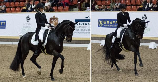 Sandra Dahlin och Ichi vann GP Special-debuten: "Helt knäppt!"