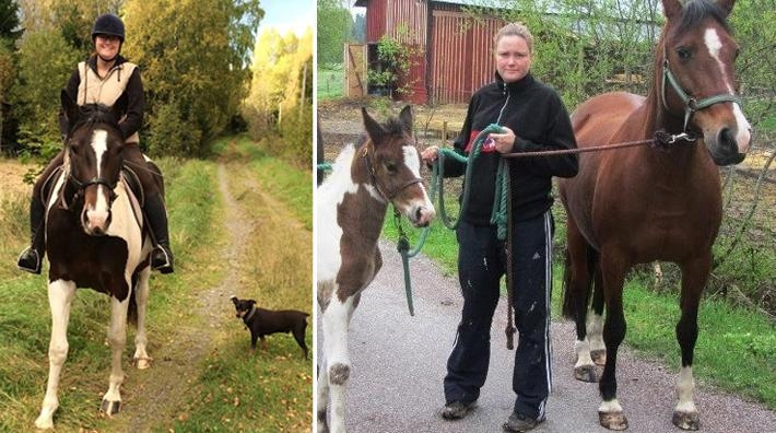 Hästvälfärdsgruppen undersöker unghästtävlingar och travsporten