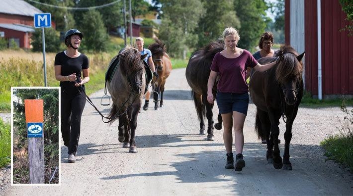 Ridled på Orust utsatt för sabotage