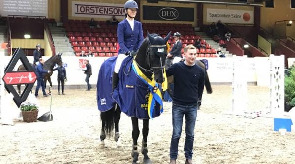 Mr Vain GJ, ägd och uppfödd av Gustaf Johansson och riden av Victoria Almgren, vann femårsfinalen i Breeders Trophy förra året. Arkivfoto: Hippson