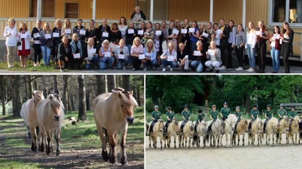 Sindarve gårds 50-årsfirande med all personal. Den övre bilden visar en tidslinje med alla deltagare på jubileumsfesten, tillsammans med det år som respektive person började jobba/jobbade på gården oc...