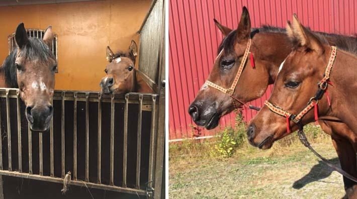 Musette, 32 år, tar uppgiften som fostermamma på allvar