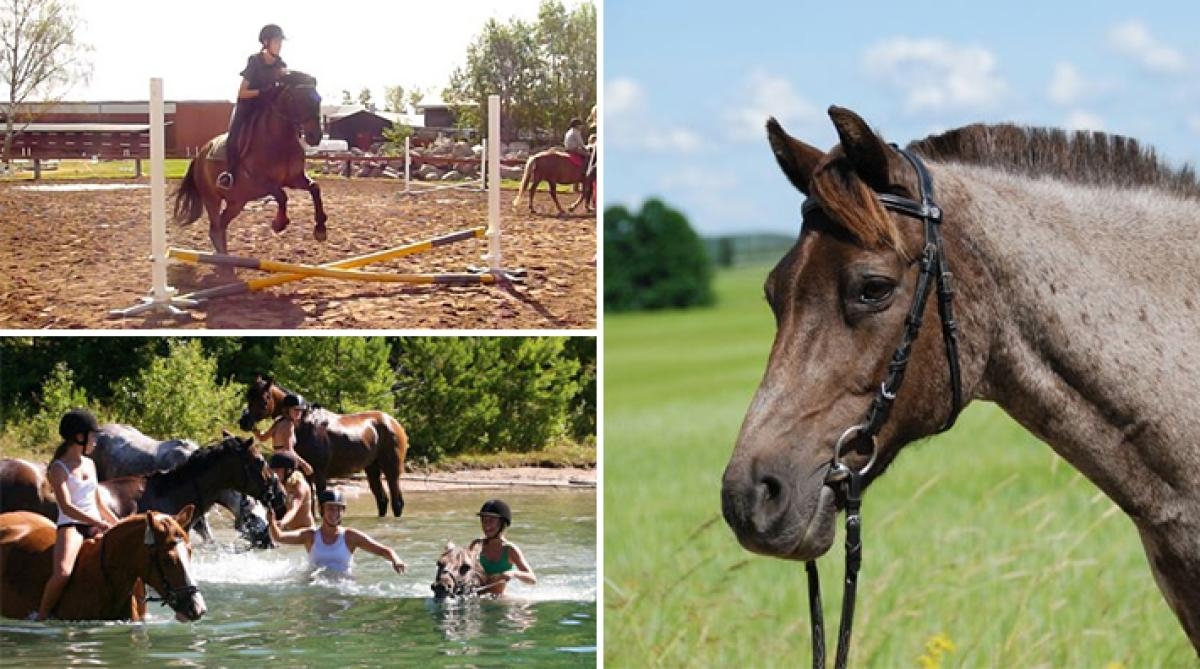 Vinn familjeridläger på Grällsta i sommar – för dig och ditt barn