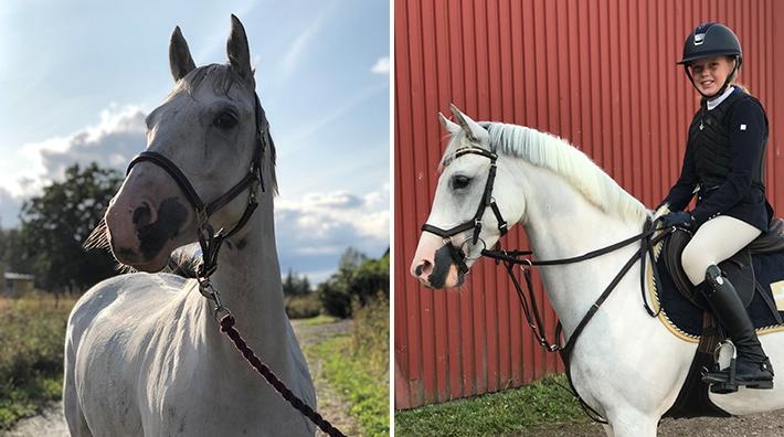 Luna är tänkt att bli dottern Elsas framtida tävlingsponny.