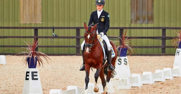 My Sandgren med Twenty Two under förra årets mästerskap. Arkivfoto: Eventingphoto.com