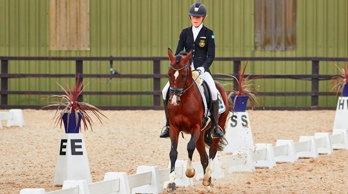 My Sandgren med Twenty Two under förra årets mästerskap. Arkivfoto: Eventingphoto.com