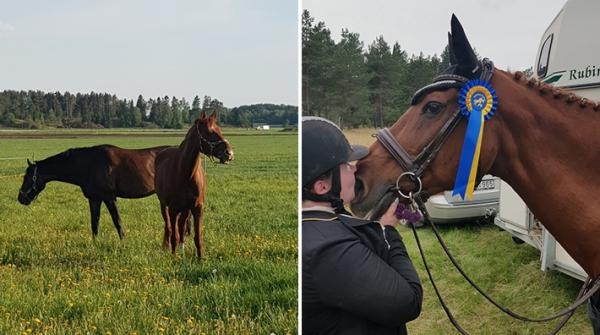 Till vänster Canabina med bästa kompisen Taipan, 26 år. Till höger efter helgens vinst.