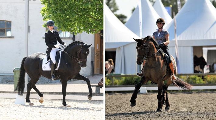 Foto: Malin Larsson och Linnea Lindahl