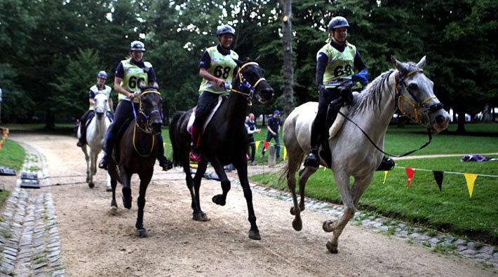 Bild från när det svenska distanslaget tog EM-brons i Bryssel 2017. Arkivfoto: Eva Oskarsson