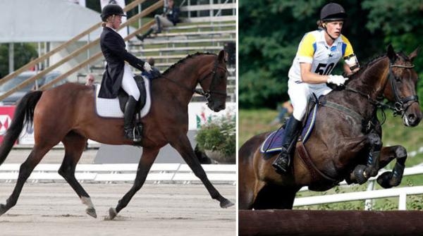 Therese Wiklund och Ludwig Svennerstål är två av ryttarna i laget. Arkivfoto: Anki Yngve och Tomas Holcbecher