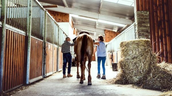 Bilden är tagen i ett annat sammanhang. Foto: Adobe Stock