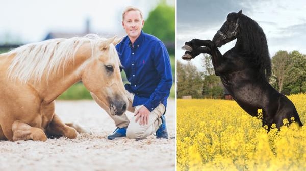 Tobbe Larsson om att motivera hästar: ”Låt dem rulla sig och leka med sina kompisar”