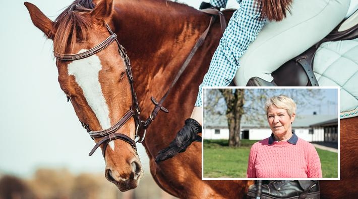 Foto: Adobe Stock och Jennie Börs