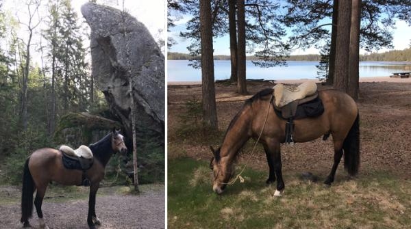 Paso Peruanon Opus vid Junker jägares sten och Vitsand i Tivedens national park. Foto: Sebastian Fall