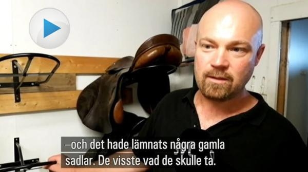 Sadelstöld i Östergötland: "De visste vad de var ute efter"